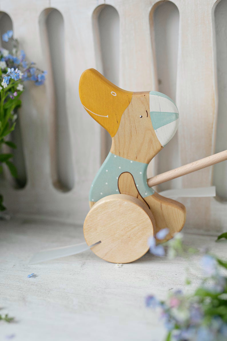 Push Toy Duck
