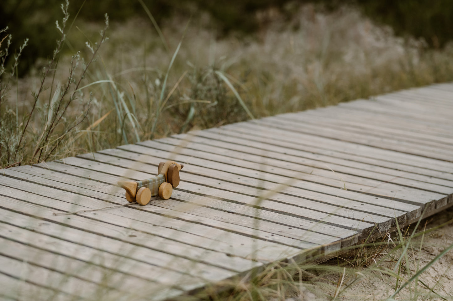 Pull Toy Sausage Dog