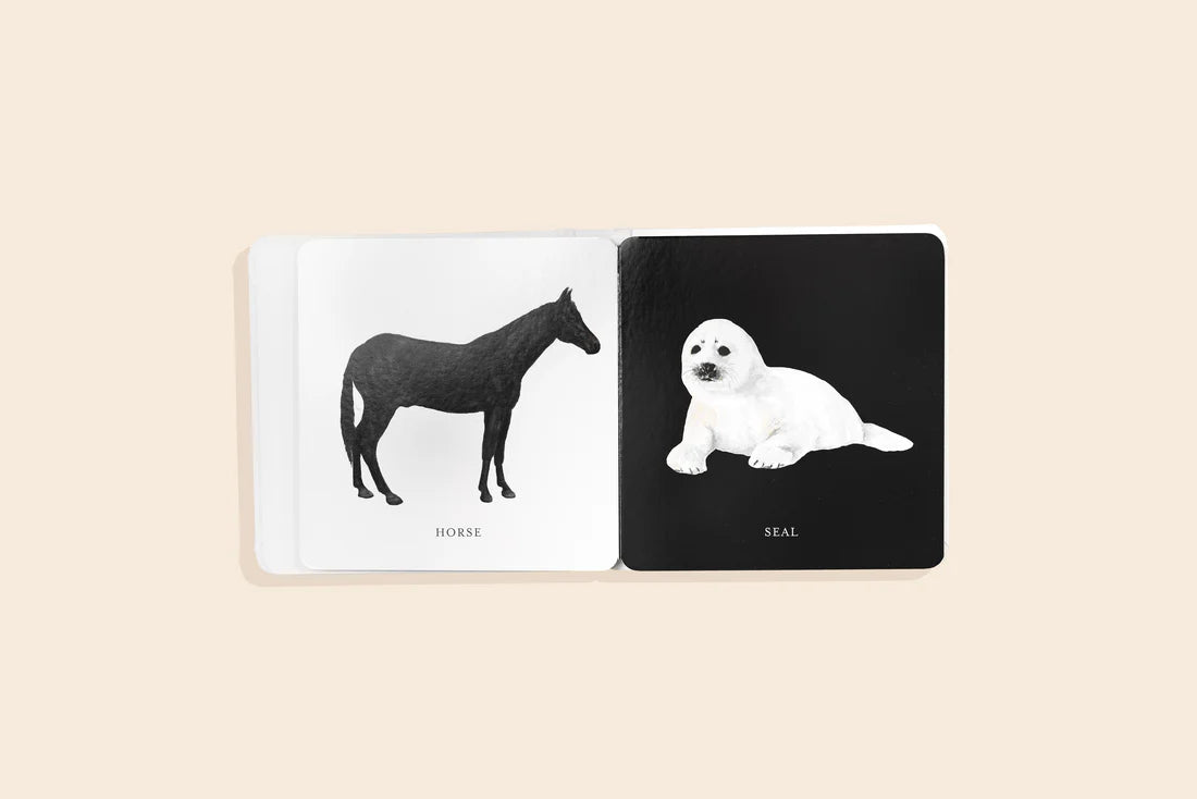 Baby's Black & White Contrast Book