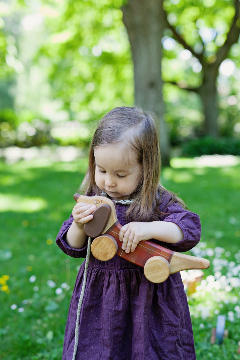Pull Toy Sausage Dog