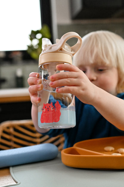Tritan Bottle