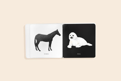 Baby's Black & White Contrast Book