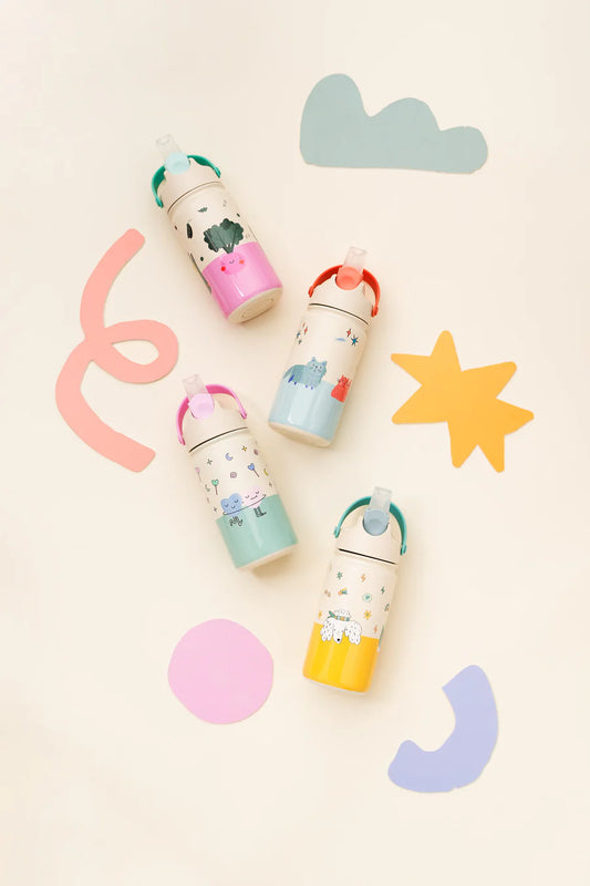 Insulated Stainless Steel Bottle