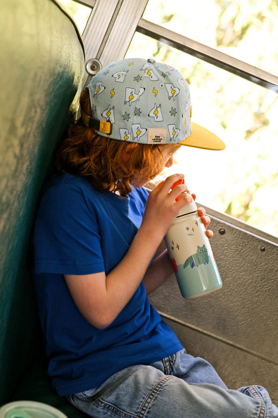 Insulated Stainless Steel Bottle
