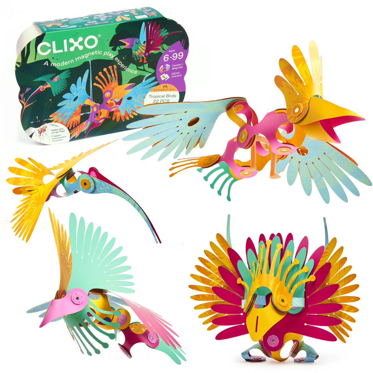 Clixo Tropical Birds Pack box with toucan, hummingbird and peacock builds