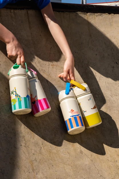 Insulated Stainless Steel Bottle