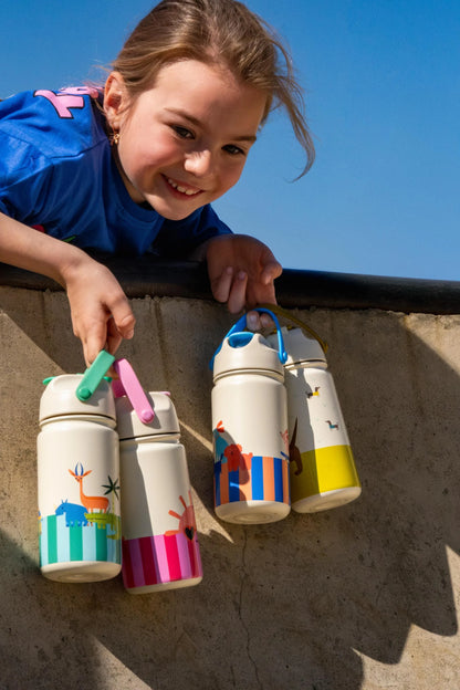 Insulated Stainless Steel Bottle