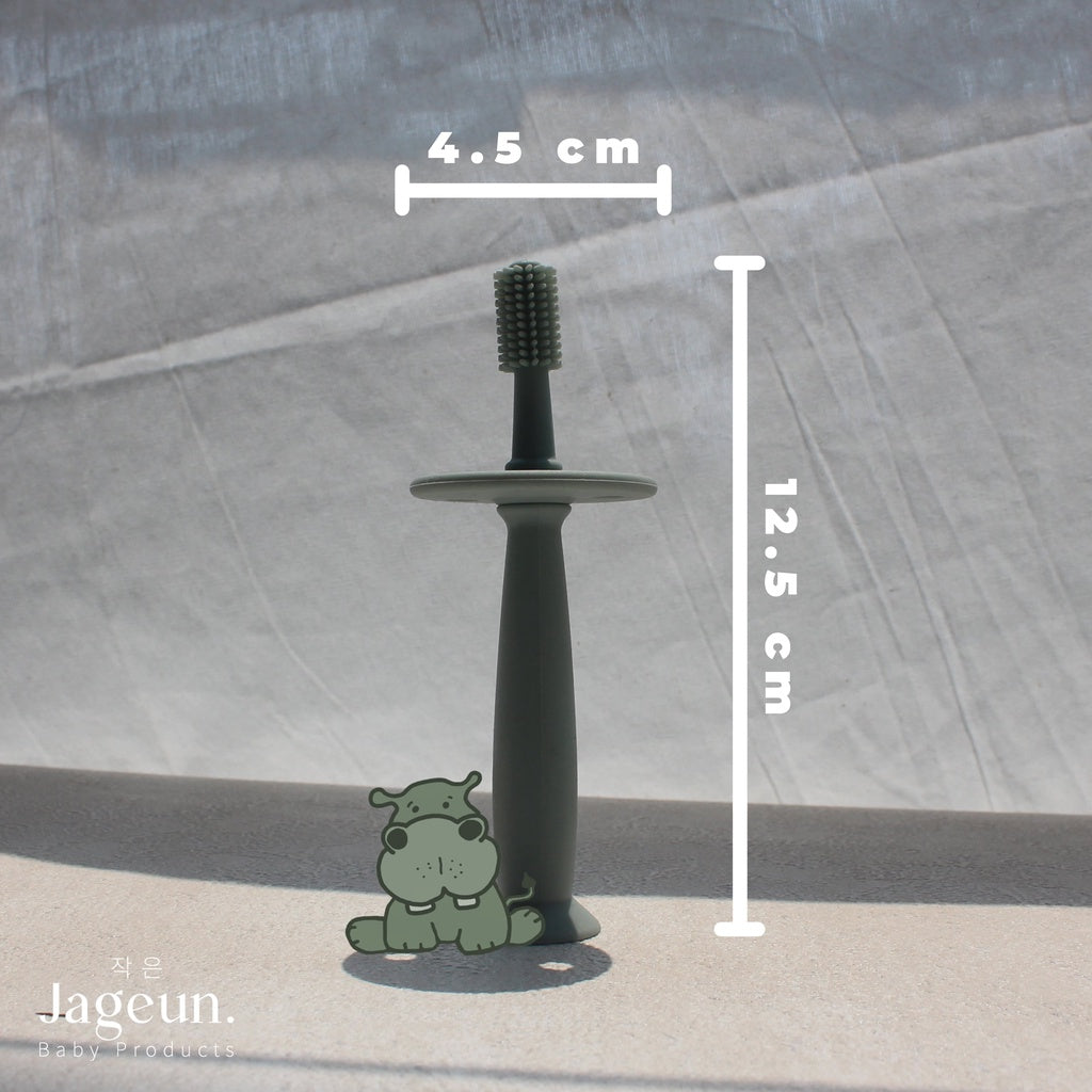 Training toothbrush size guide, 12.5cm tall and 4.5cm wide