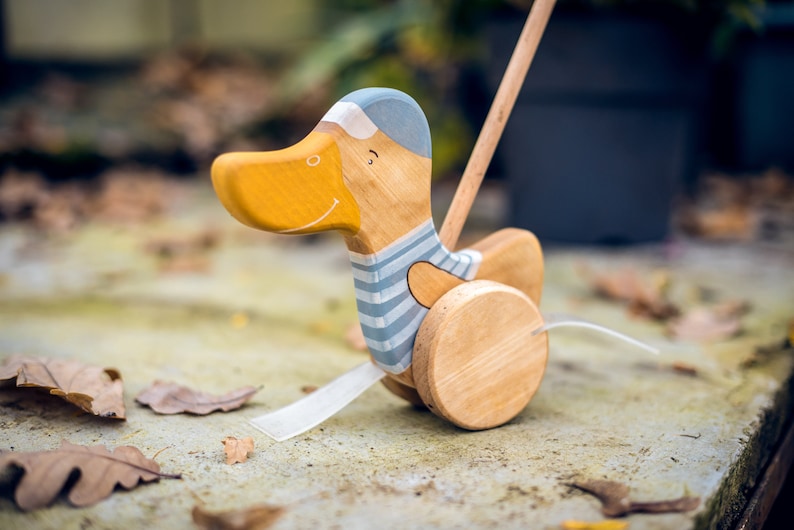 Push Toy Duck