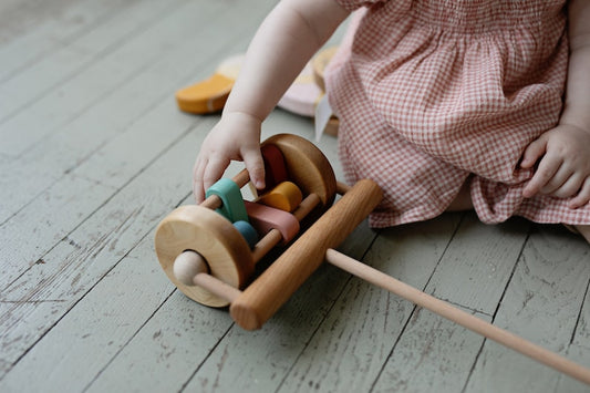 Push Toy Rattle with sticks