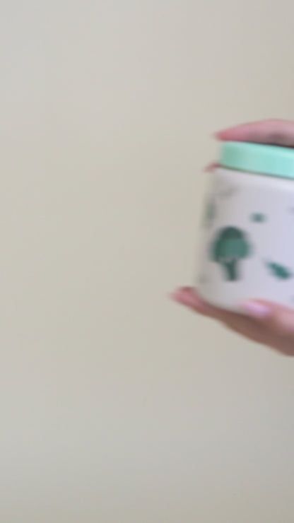 Thermo Food Jar